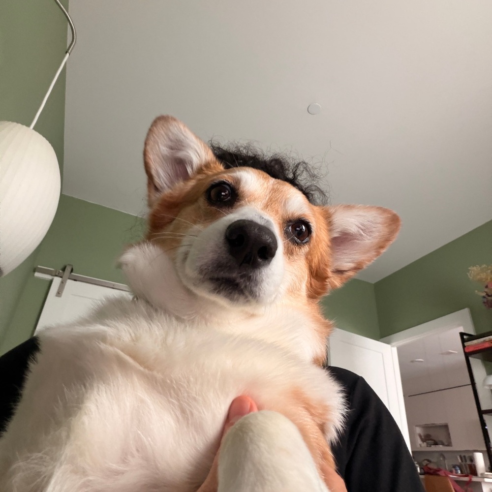 Meet your Posher, Bryan